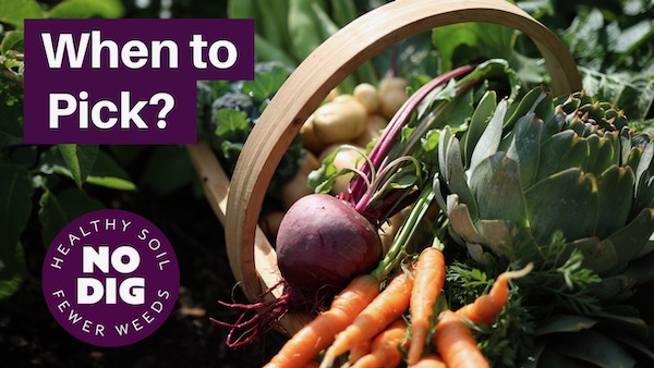 Video thumbnail for When to Pick