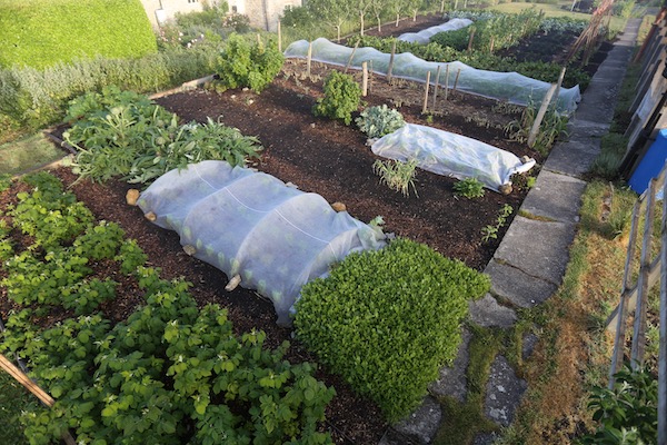 View 7th June of where we filmed