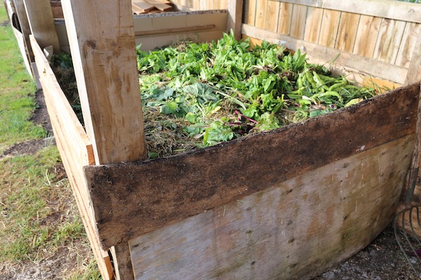Spring compost heap six weeks making