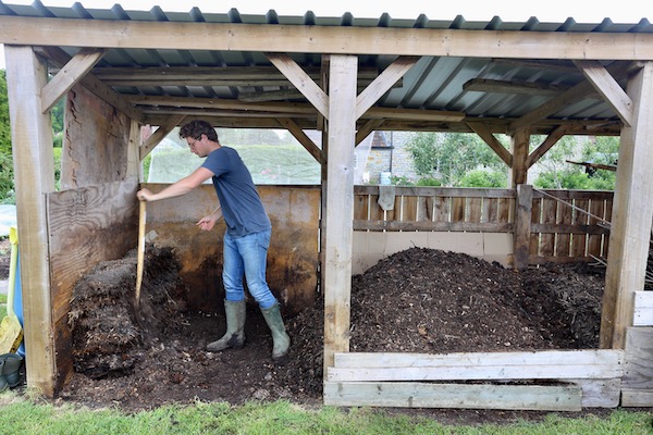 1 Shaving compost off old pile