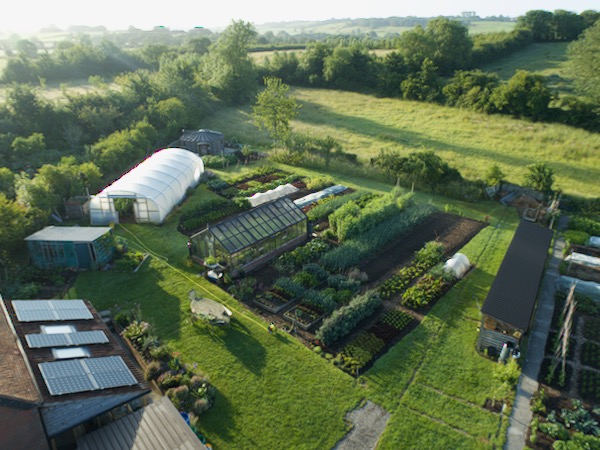 Drone view of Homeacres June 22nd no dig