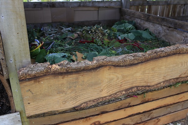 Current compost heap filled for a month.