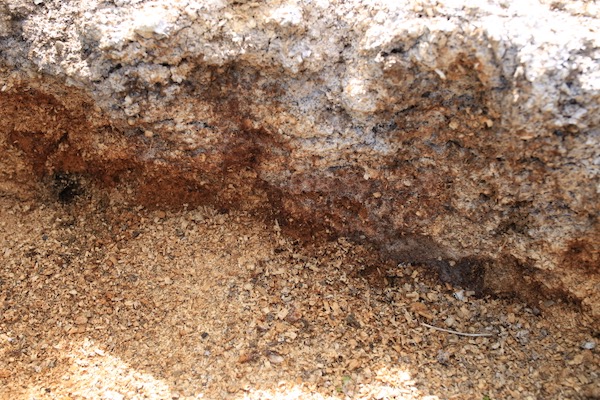 Wood shaving two years outside in a heap