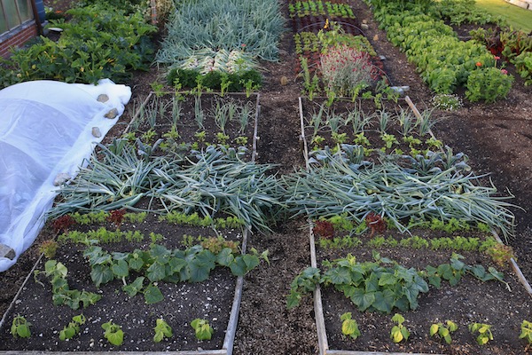 Same beds 8 days later