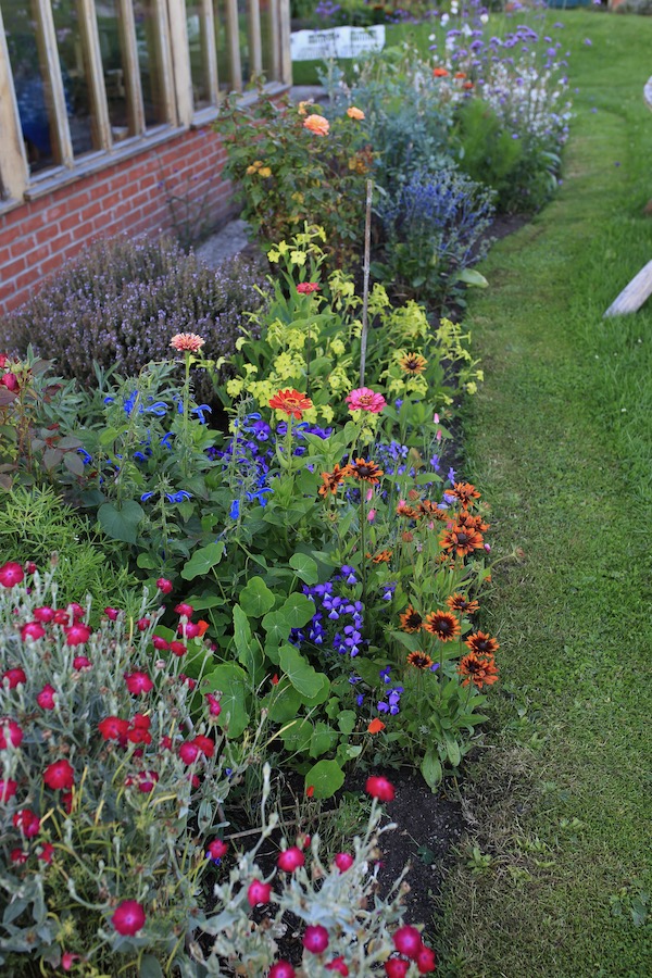 Homeacres conservatory no dig flower border