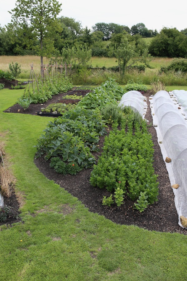 view 4th July, different vegetables east end