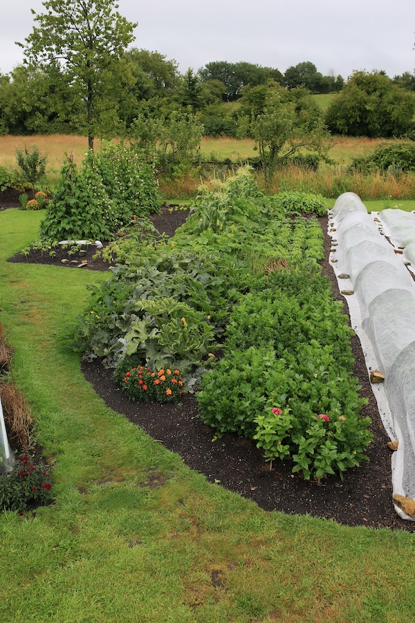 Same view three weeks later