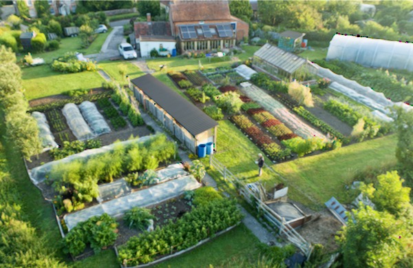 drone view Homeacres no dig 22nd July