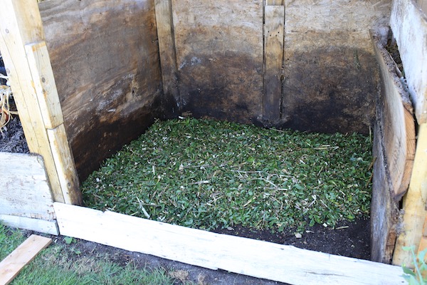 First fill of new heap