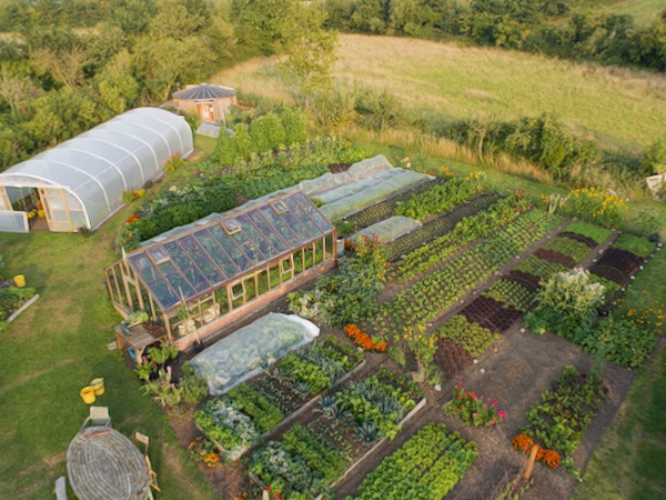 Drone view Homeacres 10th August