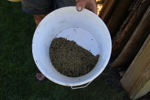 After some winnowing, spinach seed