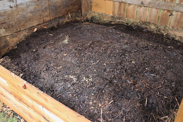 The first heap of 2020