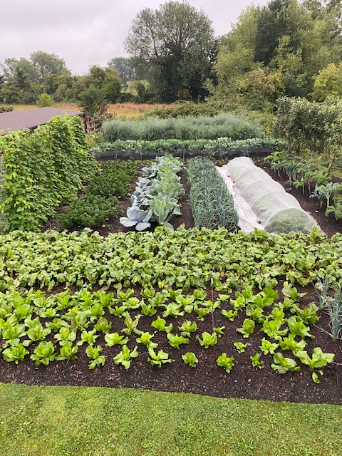 West side 15th August