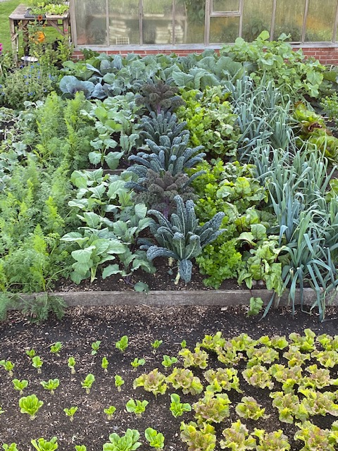 Same view six days later