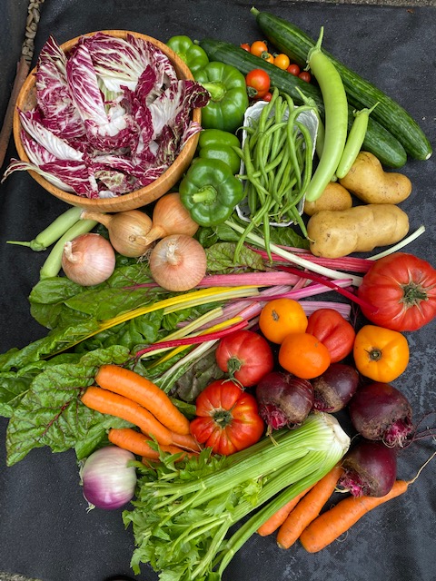 Vegetable display, so many