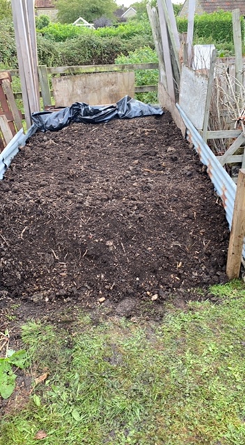 Homemade compost 10 months old