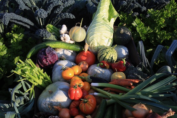 Equinox harvest September