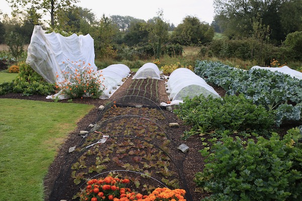 The following morning and all was well