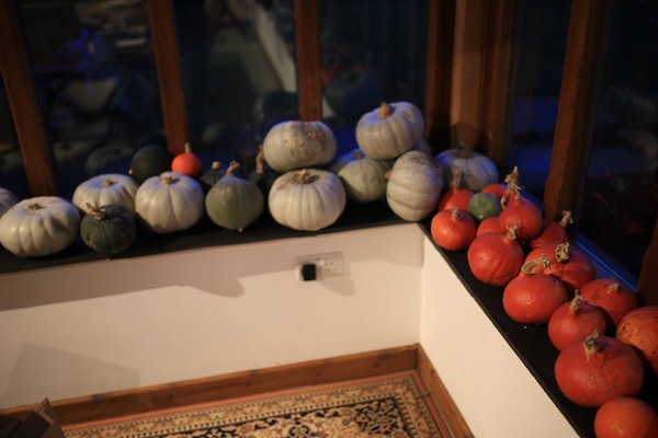 Late September and the new harvest of squashes