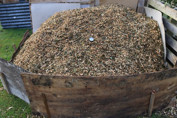 Two day old heap of wood chip