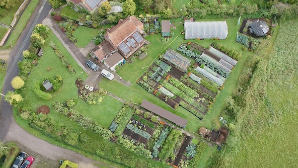 Drone view 7th October no dig garden
