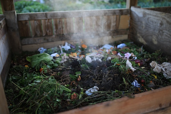 Many harvests resulted in a lot of trimmings and heat!