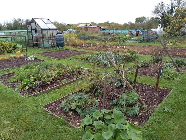 Allotment site threatened by Blenheim Palace