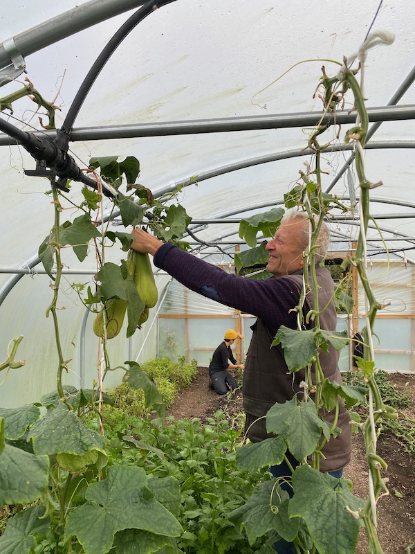 Charles picking loofahs