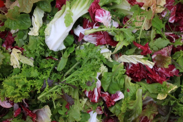 Salad leaf mix in late October