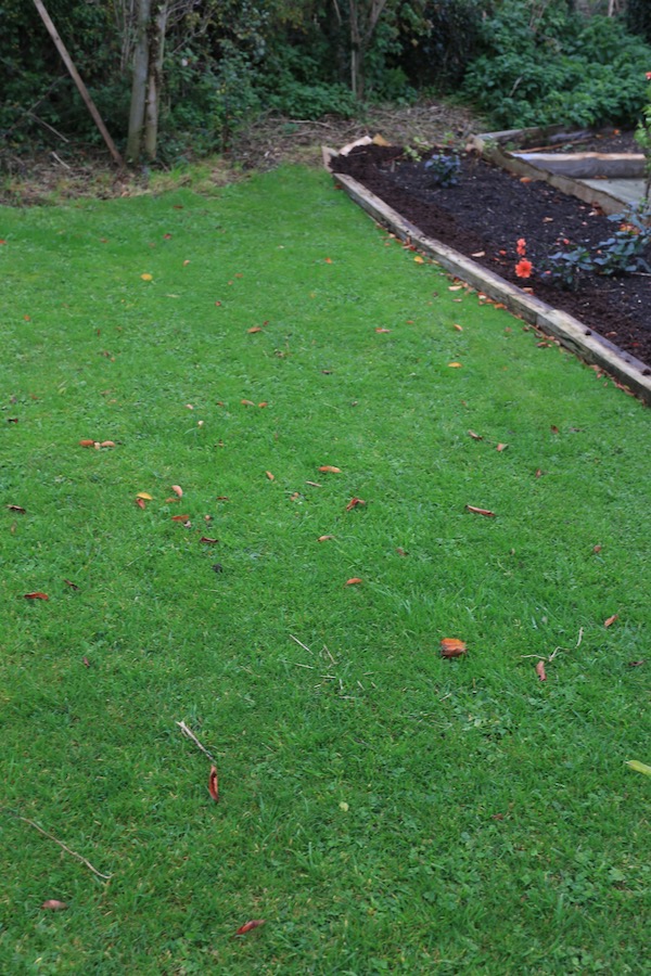 Site for a new no dig bed at Homeacres