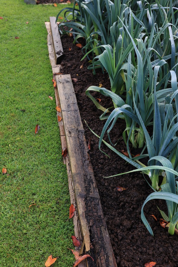 Temporary wood weight, and compost to feed path soil