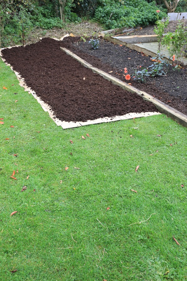 After laying cardboard then a thin initial layer of compost on top