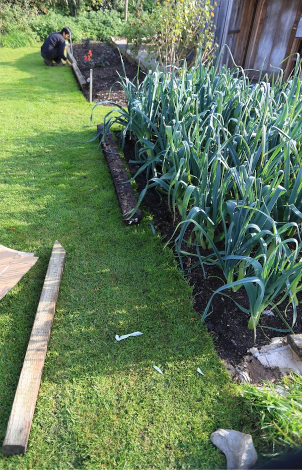 No clean edge to this ten month old bed