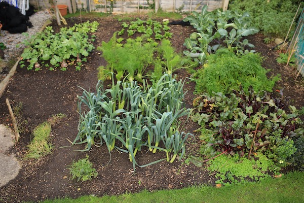 Small garden still has many harvests