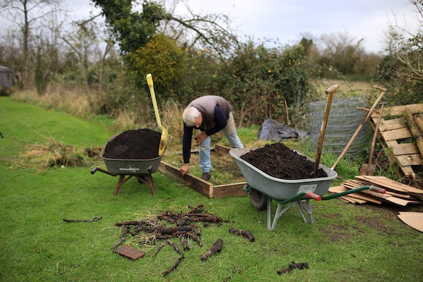 Clearing then mulching new bed