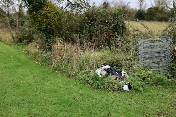 Weedy ground for a new bed