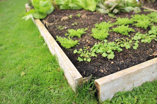 Bed before side removal