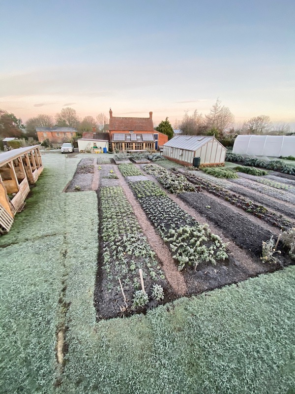 Big frost on the following day