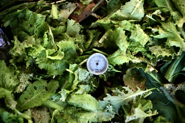 The current heap is mostly below 50C