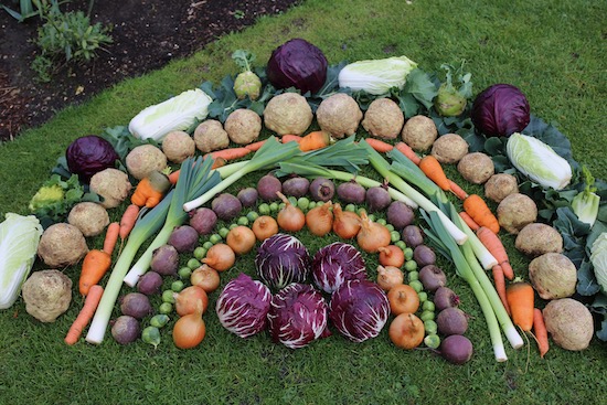Veg rainbow mid December
