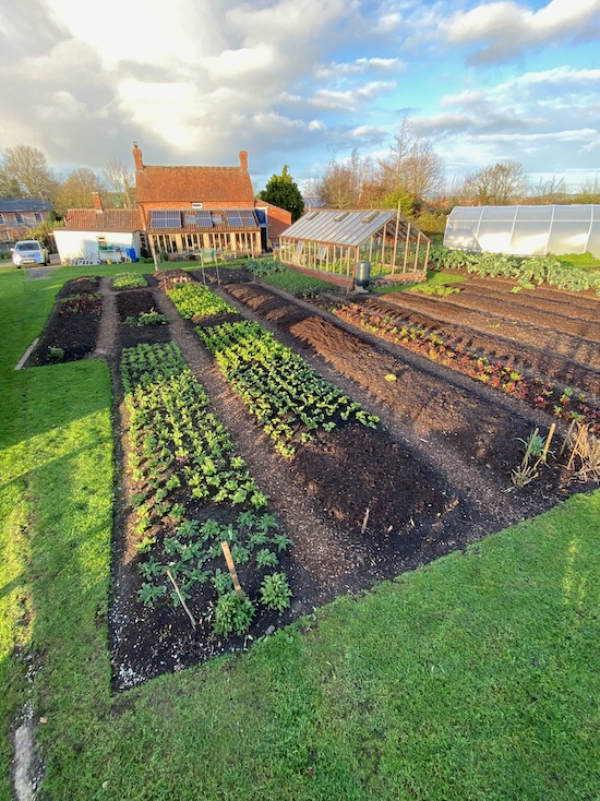 View 20th December shows mulches