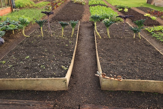 Before removing sides