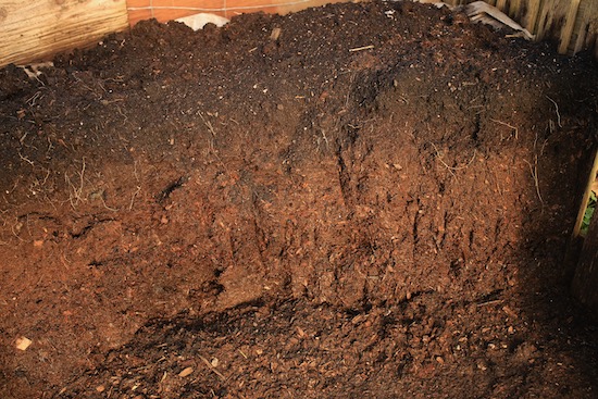 Ten month old horse manure