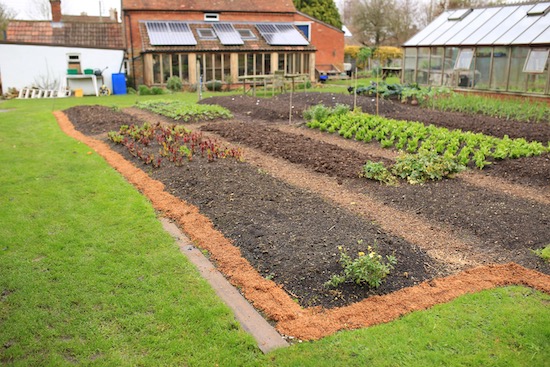 Edge mulch is wood shavings