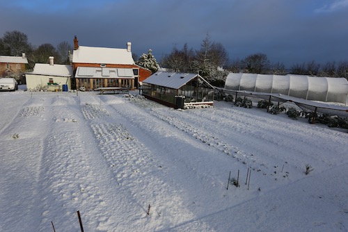Our biggest snow so far 24th January