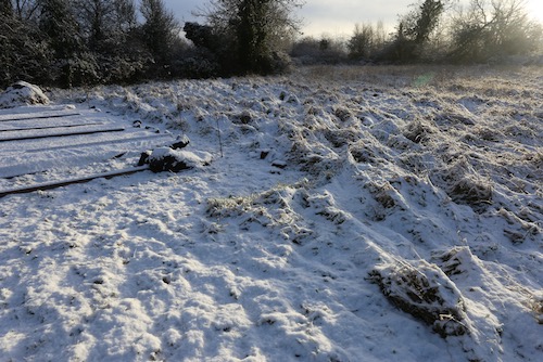 snow on uneven grass