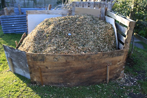 Heap of wood chip newly delivered