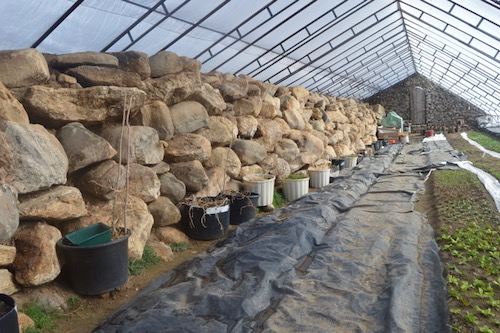 North side retaining wall in Walipini