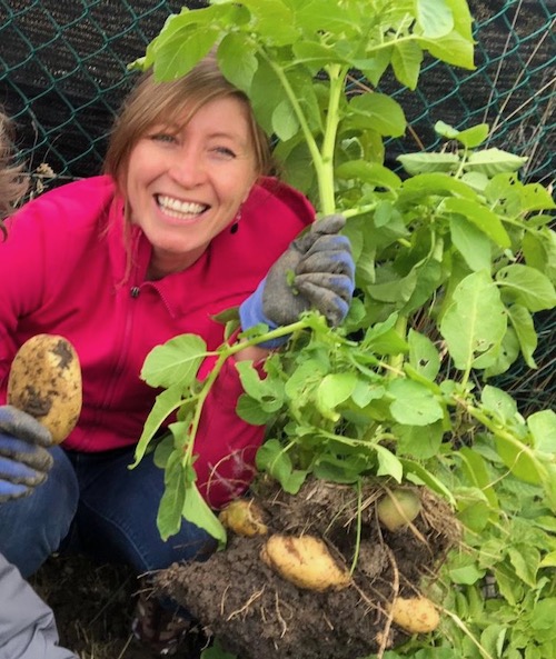 Leslie Sirvent in Patagonia with her no dig potato harvest
