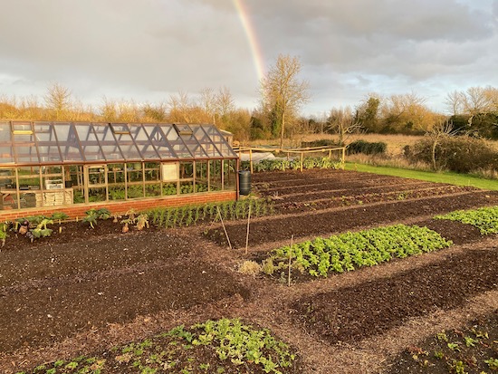 Rainbow over Homeacres no dig beds in winter